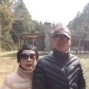 대신축사(3동) | 송당목장과 귀빈사, 민오름(제주시 구좌읍 송당리)