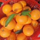 웰빙농장2 이미지