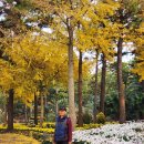 대평공원 | “세계 7대 자연경관” 제주 12박 13일 여행 후기