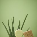 뷰티바