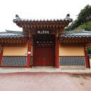 사덕 이미지