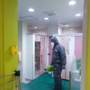 코로나방역살균전문업체