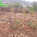 은산보건진료소 이미지