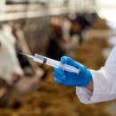 문장축산 이미지