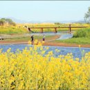 강변의 수채화 이미지