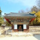 동화사 티스토리
