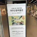오감만족 책 탐험 | 부산 여주곤충박물관 동부산롯데몰 오감만족 어린이체험 추천후기