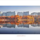 데칼코마니 이미지