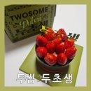 파리바게뜨 오창호수공원점 | 투썸 두초생 케이크 후기 (두바이 초코 생크림 케익 추천)