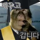 냥이멍이세상 | 곱게 접어 묻어둔 편지 한 장 느렸어도 즐겁던 거북이와 나