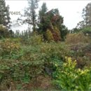 도순주유소 이미지