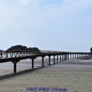 팔도강산 이미지