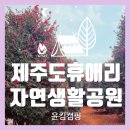 자연공원 | 휴애리 자연생활공원 입장료 &amp; 겨울 포토존 후기