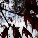 13코스 #2-2 이미지