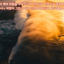 바람과바다 이미지