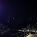효은상사 | 겨울을 녹이는 봄❄️🌸