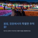 세종호수공원 야간 산책로 이미지