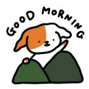 복수한우 이미지