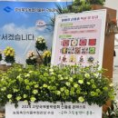대구화훼 이미지