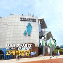 장생포고래박물관