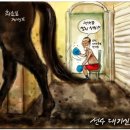 언니닭 이미지