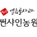 밀양얼음골김치 이미지