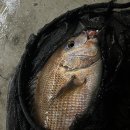 원실내바다낚시터 이미지