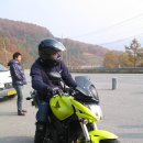 야호 이미지