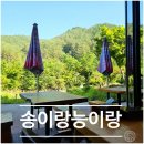 산아래 | [오대산] 소금강 하산 후 들른 송이랑능이랑, 산뷰 보며 먹은 산채비빔밥 감자전 후기