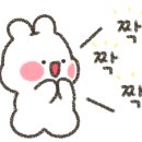 샌토 이미지