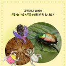 고덕유치원 이미지