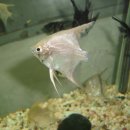 그랜드마트 이미지