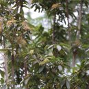 종명랜드 이미지