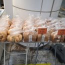 핫브레드(Hot Bread) 이미지