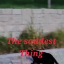 The saddest thing 이미지