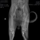 구름동물병원 이미지