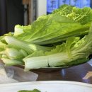 (주)옥수 | 옥수역 맛집 삼원 옥수해천탕 한남동 보양식 해천탕 제대로 먹은 후기