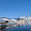 솔이네집 식당 | 주문진생선구이맛집 현지인도즐겨찾는 정림생선구이(솔이네)