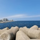 서부두 명품회집거리 이미지