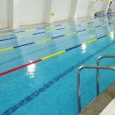 영덕문화체육센터수영장 이미지