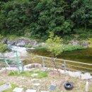 소금강행복펜션 이미지