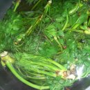 최부자농장 이미지