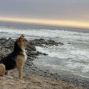 온종일바다 이미지