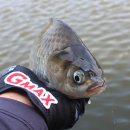 물반고기반낚시터 이미지