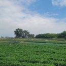 광승어촌체험휴양마을 이미지