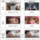 그림문구