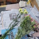 중앙도매 | 부산 범일동 중앙 꽃 도매상가 방문 후기