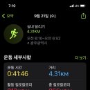 퍼센트짐 우산점 이미지