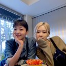 로제펫샵 Daum카페