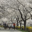 상주시청 웹이코노미